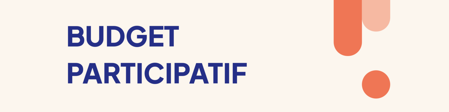 QU'EST CE QUE LE BUDGET PARTICIPATIF ?